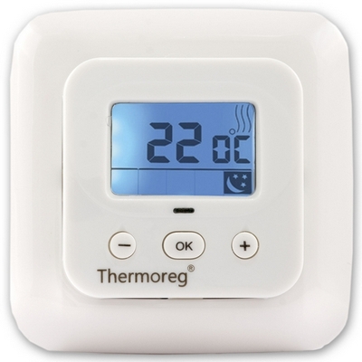    THERMO Thermoreg TI-900